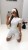 IMG_5340-1152x2048.jpeg